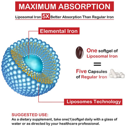 Liposomal Fe Iron Supplement for Women & Men - 65mg Iron with Folic Acid & B12 | 60 Softgels