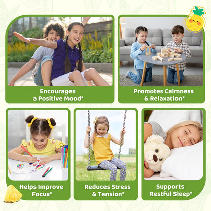 2 Pack Liposomal GABA L-Theanine Drops for Kids – Pineapple | Calm, Focus & Stress Relief