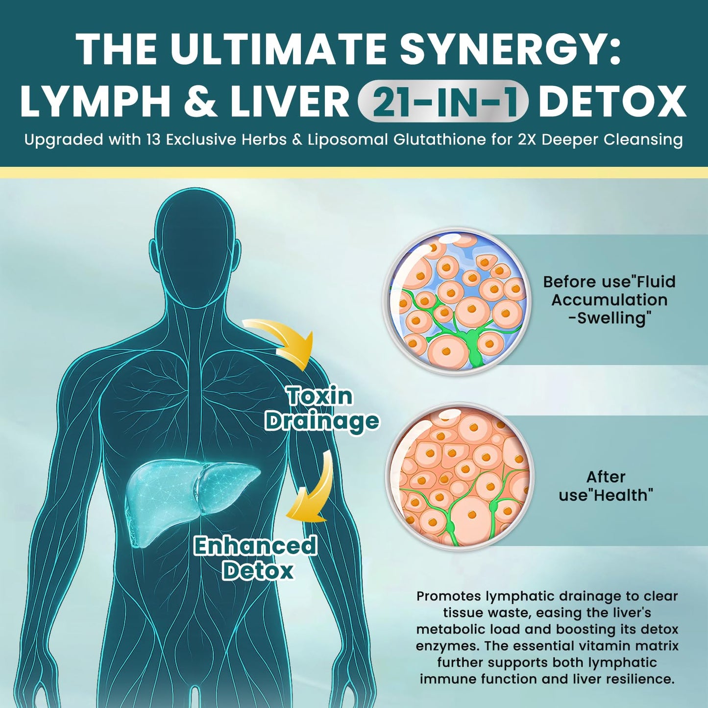 Liposomal Lymphatic Drainage Drops – 21 in 1 Liver Cleanse Detox & Repair (Milk Thistle, Echinacea, Burdock, Glutathione)