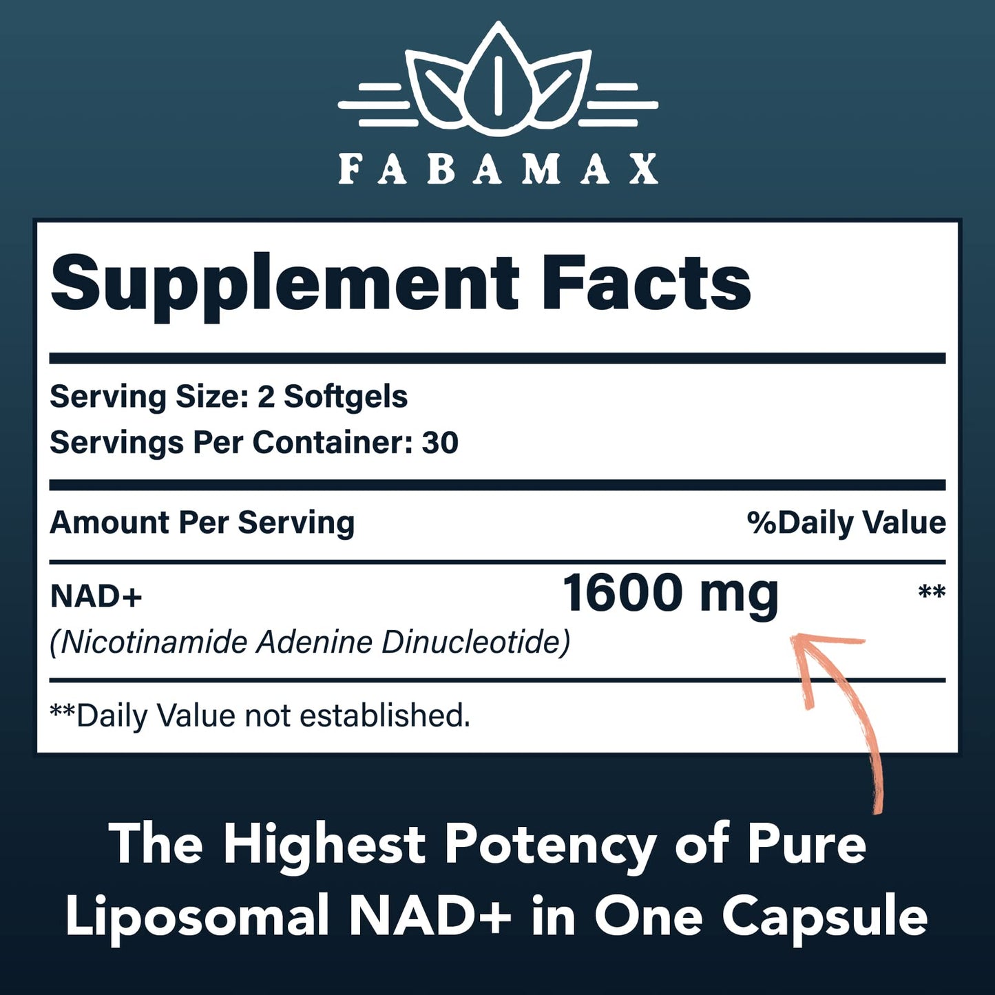 1600 mg Liposomal NAD+ Supplement – 98% Pure NAD+ | Superior Absorption | 120 Softgels