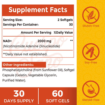 Cuerpo Sano 2000 MG NAD Supplement – Liposomal NAD+ with High Absorption, 60 Softgels