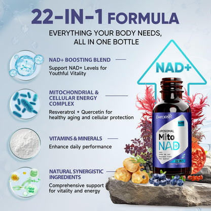 Liposomal NAD+ Drops - NAD+ NR NMNH Supplement for Mitochondrial Health - 60ml