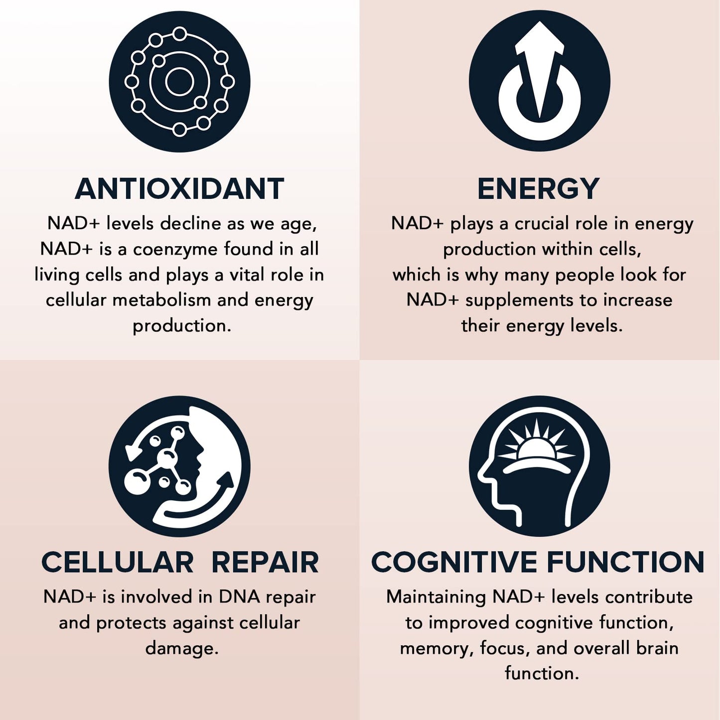 1600 mg Liposomal NAD+ Supplement – 98% Pure NAD+ | Superior Absorption | 120 Softgels