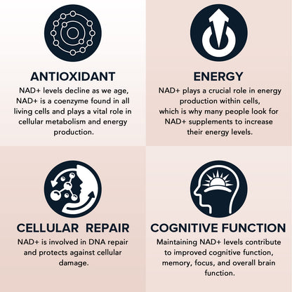 1600 mg Liposomal NAD+ Supplement – 98% Pure NAD+ | Superior Absorption | 120 Softgels