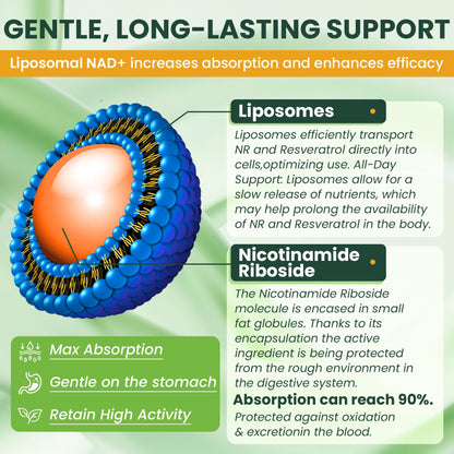 Liposomal NAD+ NR Resveratrol + CoQ10 | NMNH Anti-Aging (60 ct)