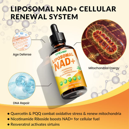 Liposomal NAD+ Drops 1500mg – Nicotinamide Riboside Chloride & Resveratrol