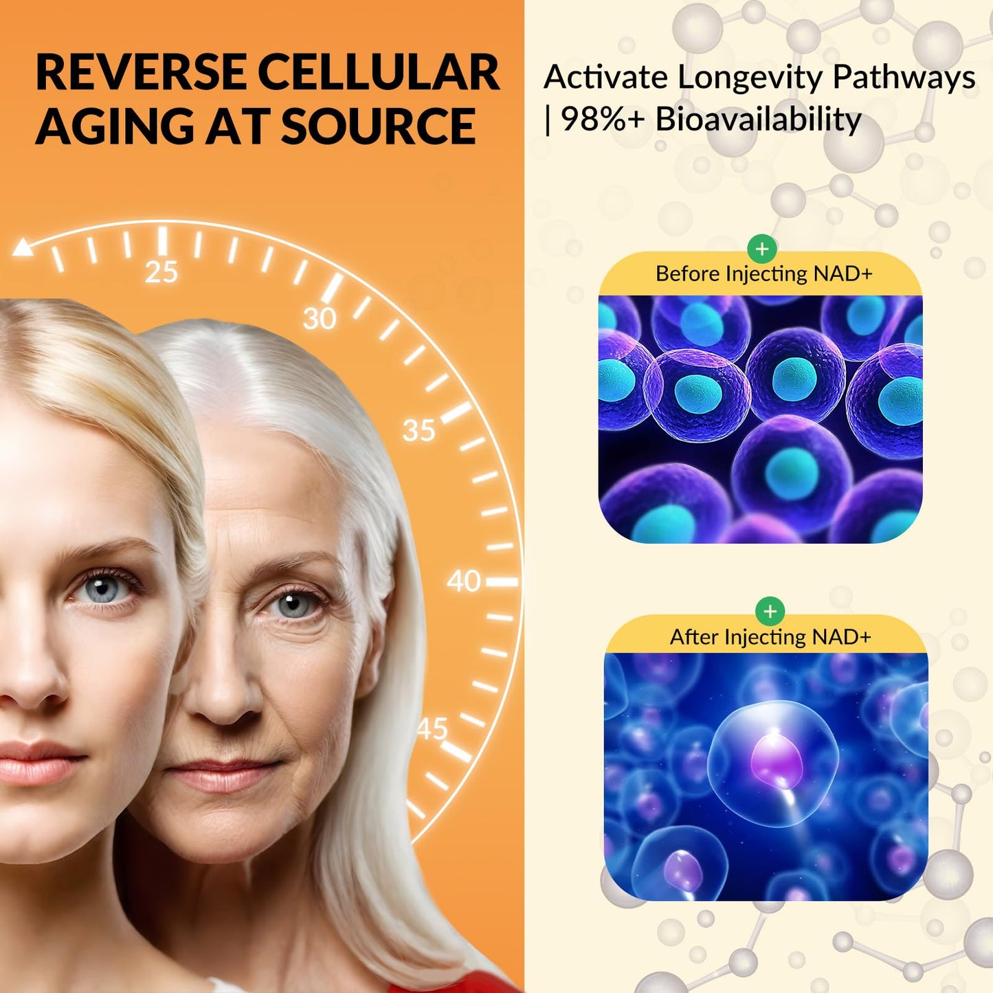 Liposomal NAD+ Drops 1500mg – Nicotinamide Riboside Chloride & Resveratrol