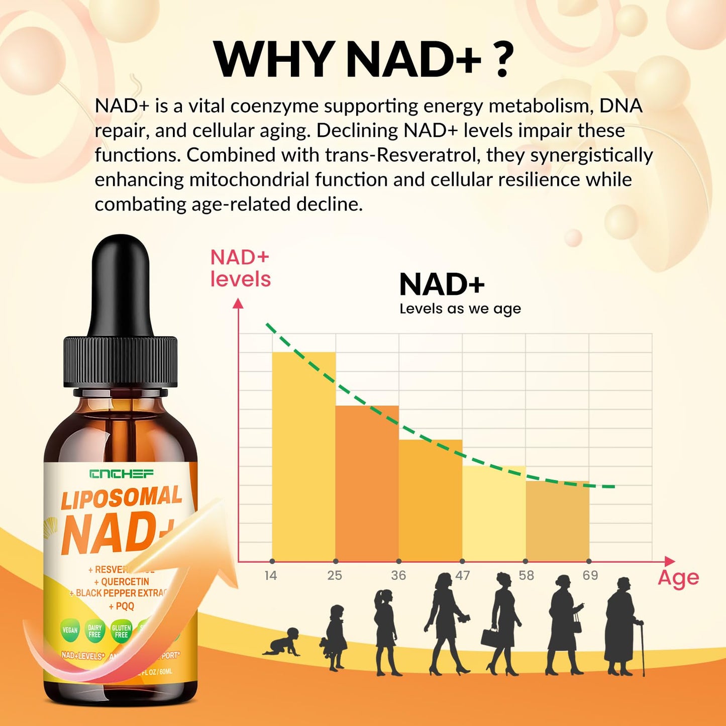 Liposomal NAD+ Drops 1500mg – Nicotinamide Riboside Chloride & Resveratrol