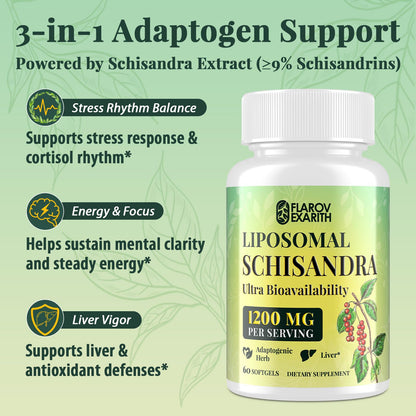 Liposomal Schisandra Berry Extract 1200mg – Stress & Adrenal Support | Vegan Softgels