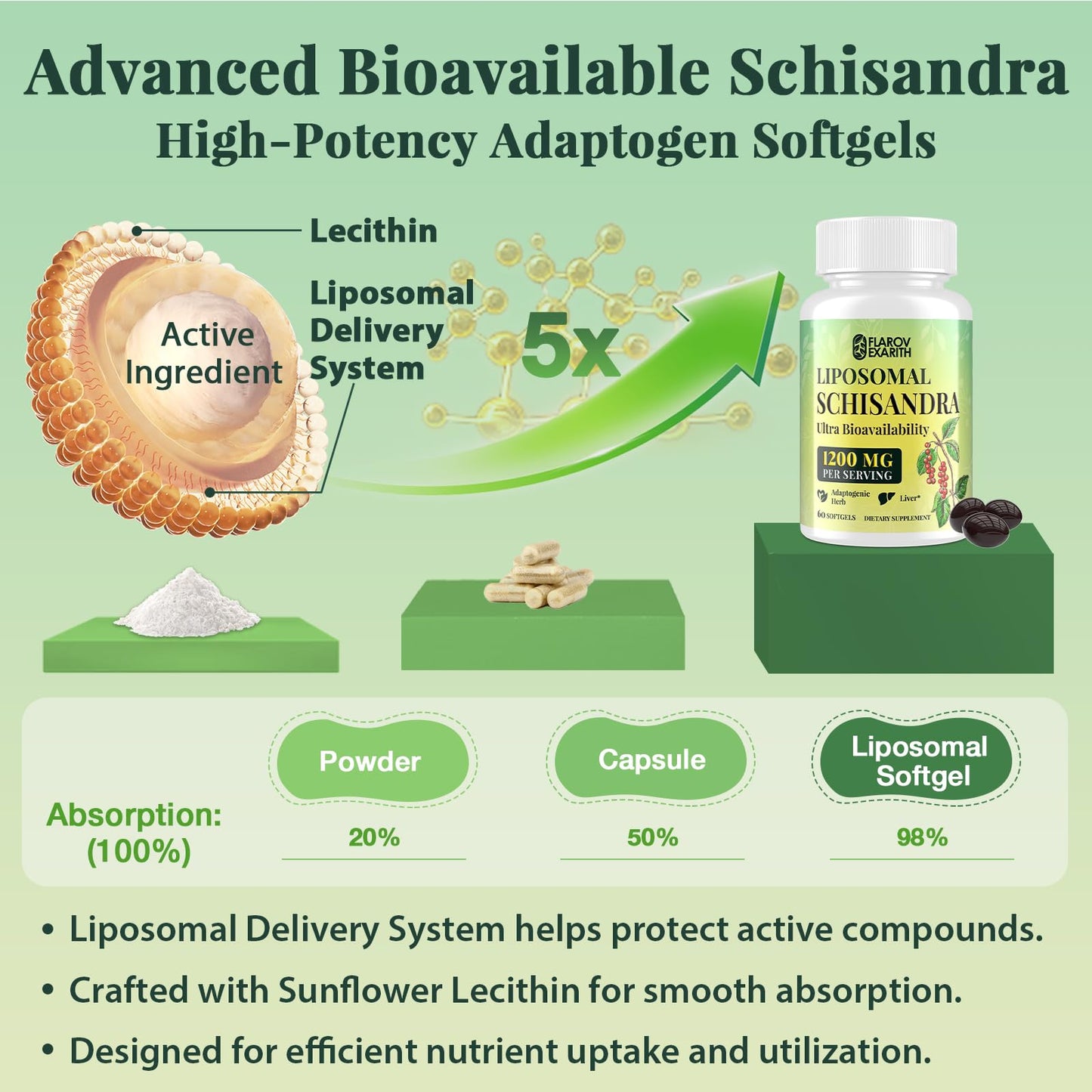 Liposomal Schisandra Berry Extract 1200mg – Stress & Adrenal Support | Vegan Softgels