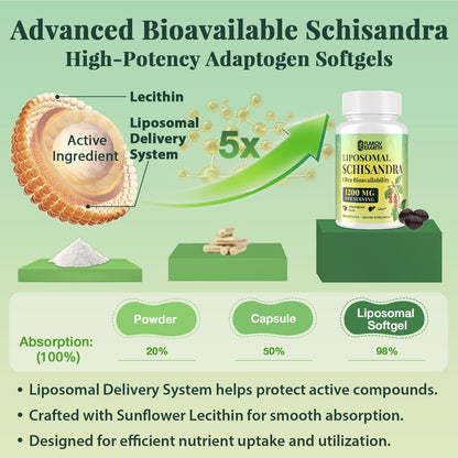 Liposomal Schisandra Berry Extract 1200mg – Stress & Adrenal Support | Vegan Softgels