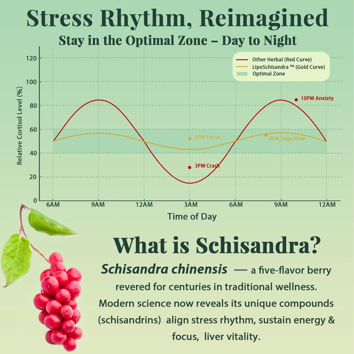 Liposomal Schisandra Berry Extract 1200mg – Stress & Adrenal Support | Vegan Softgels