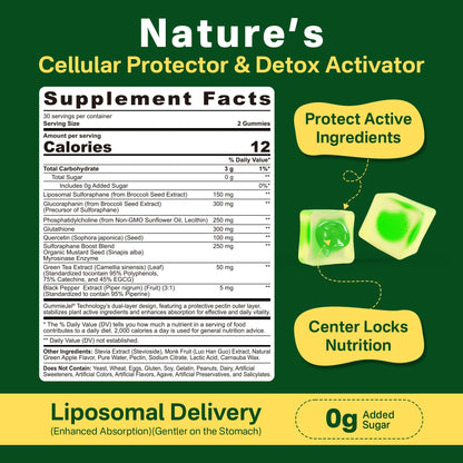 Liposomal Sulforaphane 150mg Gummies – Broccoli Seed Extract, Myrosinase, 60 Count