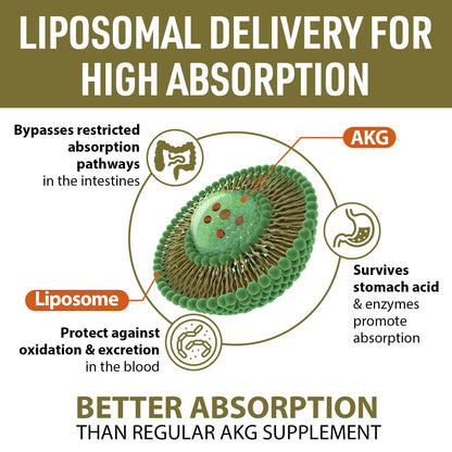 Liposomal Calcium AKG 1500 MG – 120 Softgels | Longevity & Energy