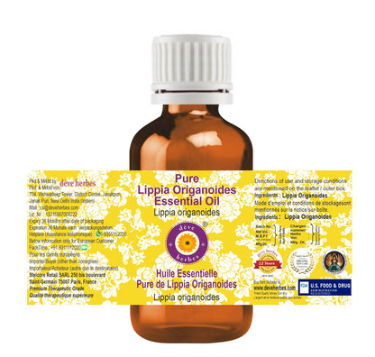 dève herbes Lippia Origanoides Essential Oil - 5ml Steam Distilled, Pure & Lightweight