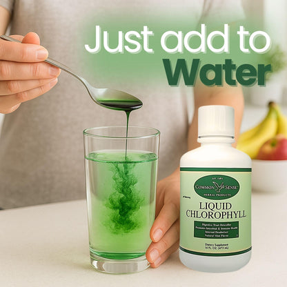 Liquid Chlorophyll 16oz. | Natural Mint Flavor | Immune Health | Intestinal Support