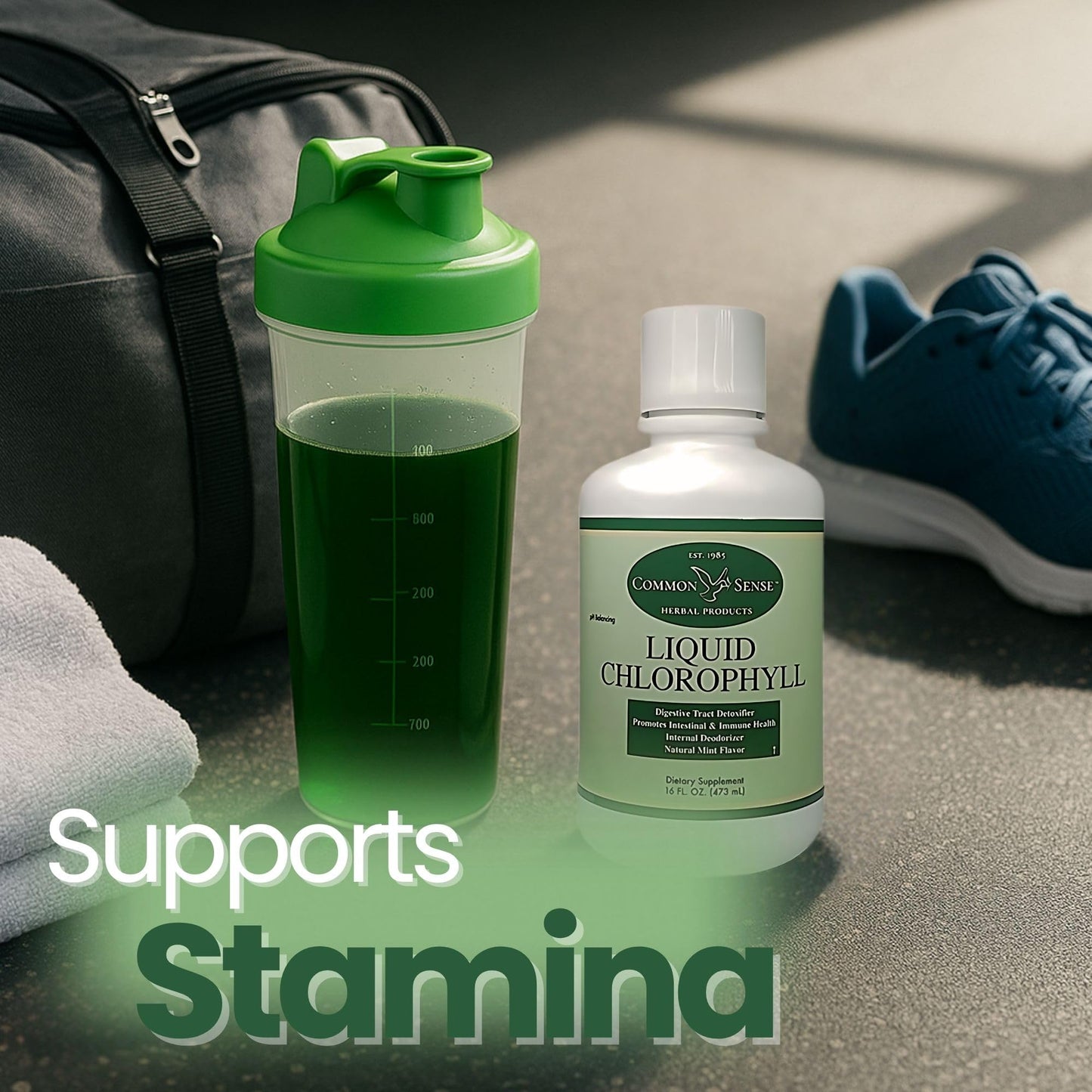Liquid Chlorophyll 16oz. | Natural Mint Flavor | Immune Health | Intestinal Support
