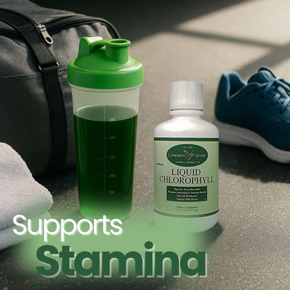 Liquid Chlorophyll 16oz. | Natural Mint Flavor | Immune Health | Intestinal Support