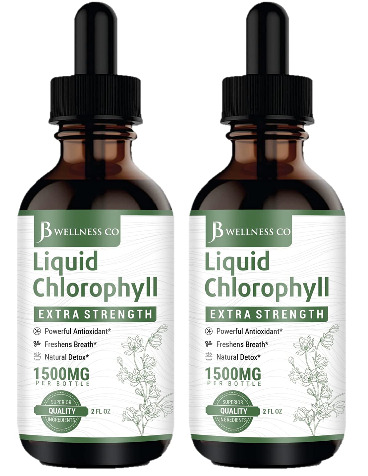 [2-Pack] Liquid Chlorophyll Drops – All-Natural Concentrate for Immune Support, Energy & Digestion | Mulberry Leaves - 240 Servings