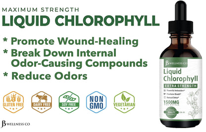 [2-Pack] Liquid Chlorophyll Drops – All-Natural Concentrate for Immune Support, Energy & Digestion | Mulberry Leaves - 240 Servings