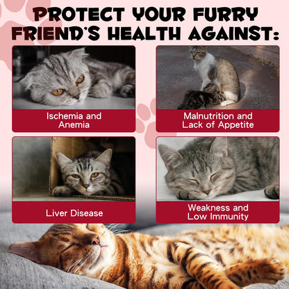 Liquid Iron Drops for Cats - Supports Anemia, Energy & Vitality (Caramel Flavor) 2 fl oz