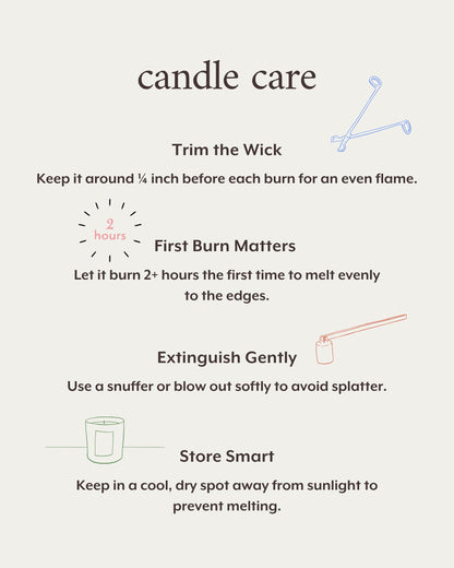 Literie Emily in Paris Inspired Candle: Berets & Bouquets — Poppies & Rose, 9oz, 50-Hour Burn
