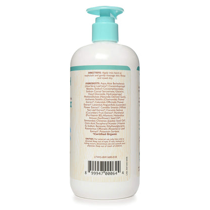 Little Twig Baby Wash – Fragrance Free, Plant-Derived Formula, 17 fl oz