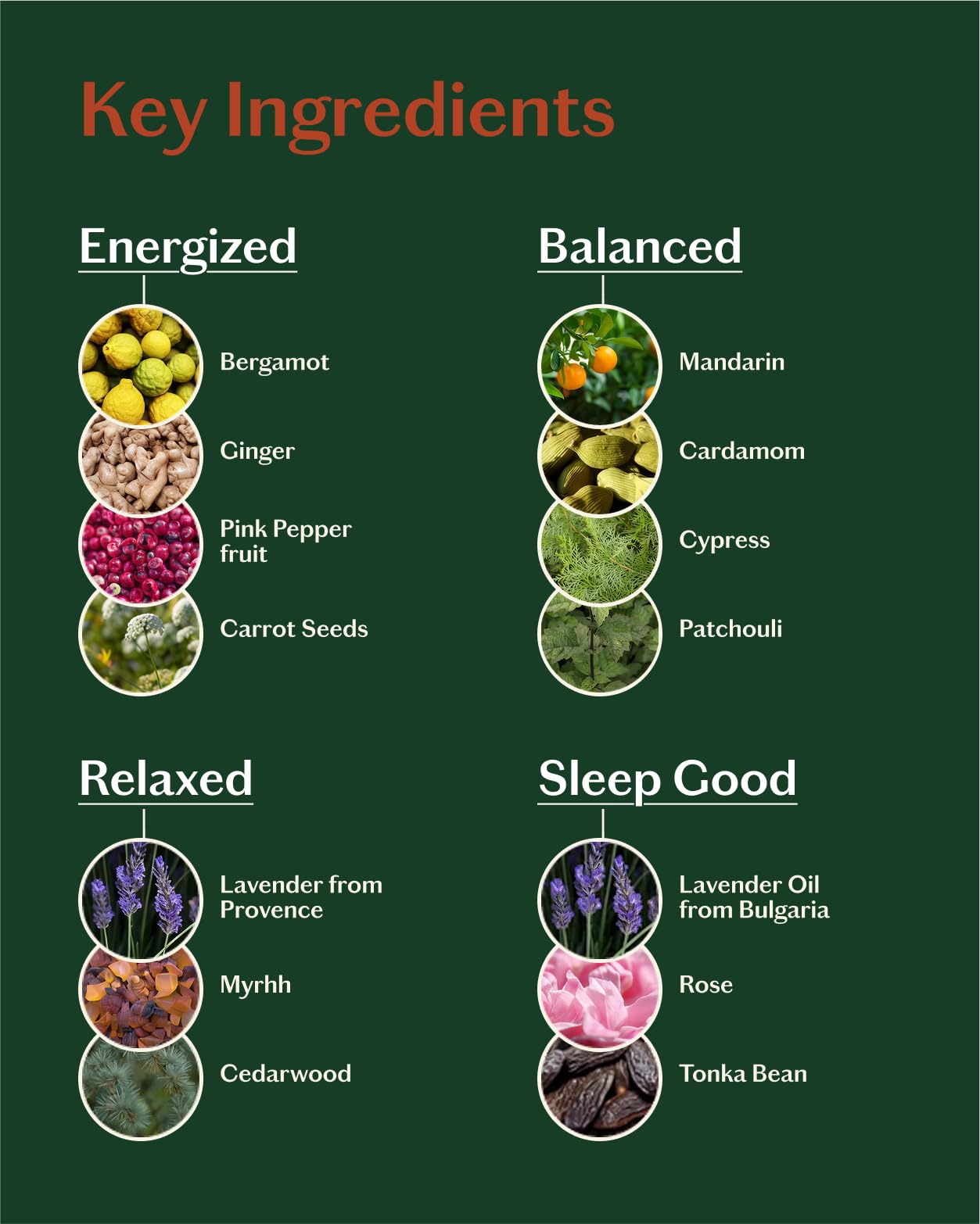 LIVEDROPS 24/7 Essential Oil Gift Set – 4 Mini Blends for Energy, Sleep & Relax