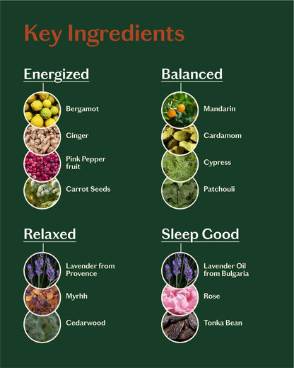 LIVEDROPS 24/7 Essential Oil Gift Set – 4 Mini Blends for Energy, Sleep & Relax