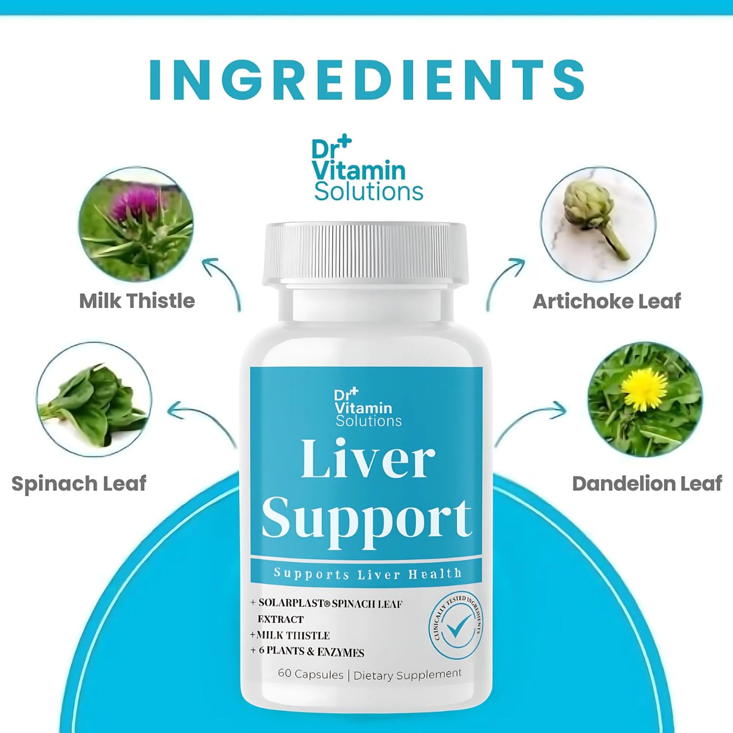 DR Vitamin Solutions Liver Cleanse Detox — Milk Thistle & Enzymes