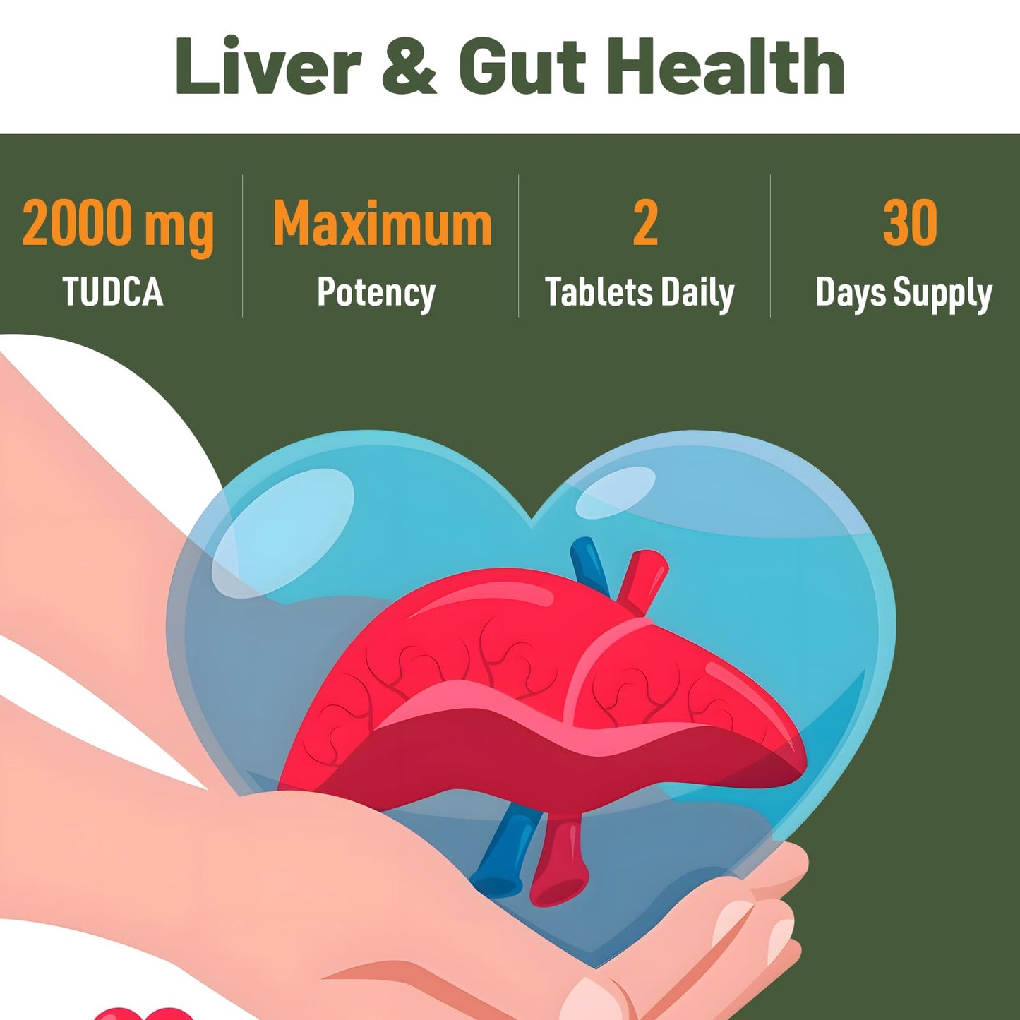 Canarata TUDCA 2000mg – Liver Detox & Bile Salts Support | 30 Days