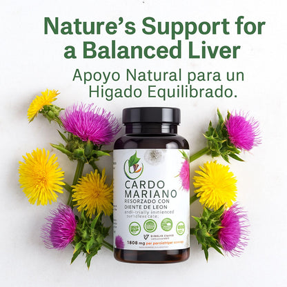 Milk Thistle + Dandelion Root — 90 Veggie Capsules | 1500 mg per Serving | Liver Health & Detox | 100% Natural | Made in USA | BexpertsUSA
