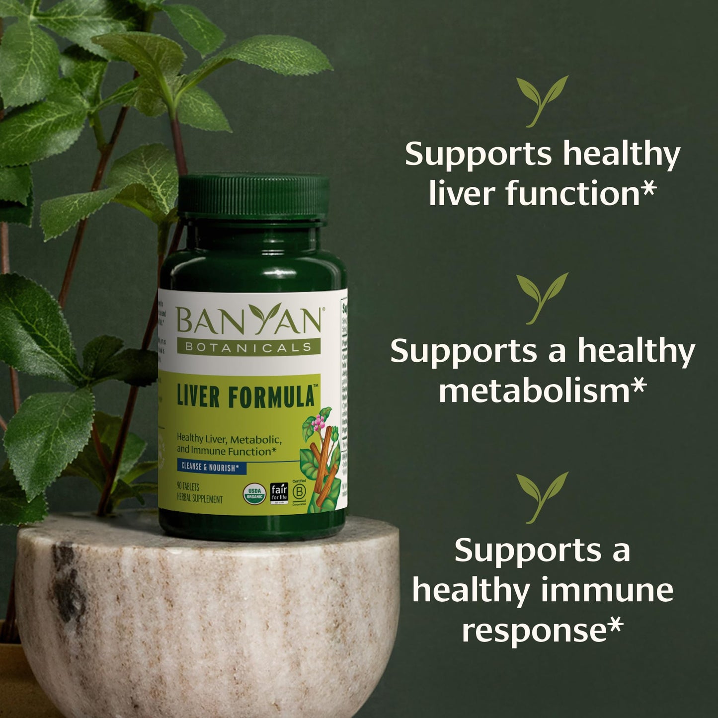 Banyan Botanicals Liver Formula – USDA Organic, 90 Tablets | Liver Support