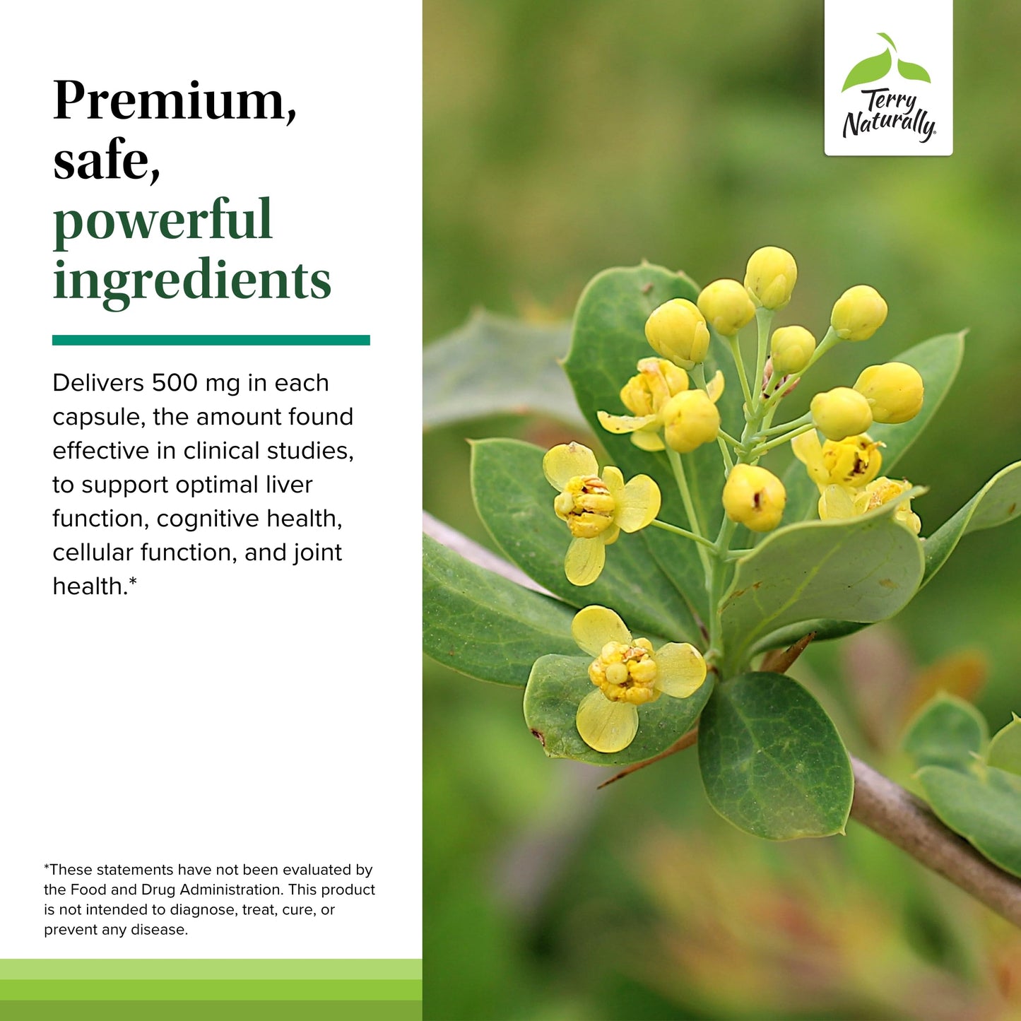 Terry Naturally Berberine - Liver Health & Metabolism Support | 60 Capsules (Pack of 2)