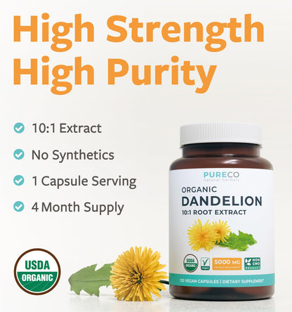 USDA Organic Dandelion Root Extract 10:1 – High Potency Liver Support (4 Month Supply) – Vegan & Non-GMO