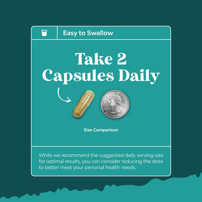 NAC Liver Support with Milk Thistle – Detox & Repair | 60 Caps