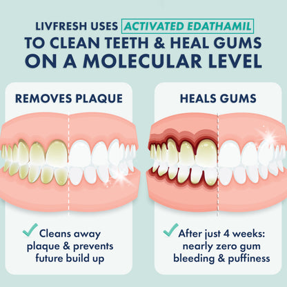 LIVFRESH Toothpaste Gel – Clinically Proven Plaque Removal, Gum Health, Wintergreen