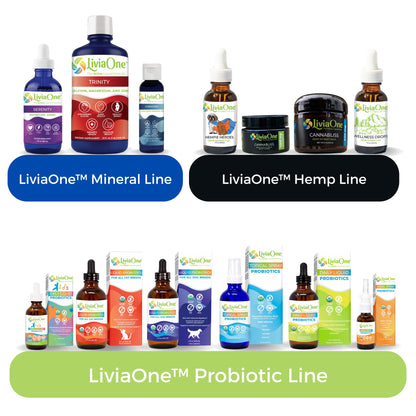 LiviaOne Topical Probiotics Spray – USDA Organic, Gluten-Free, 2 oz