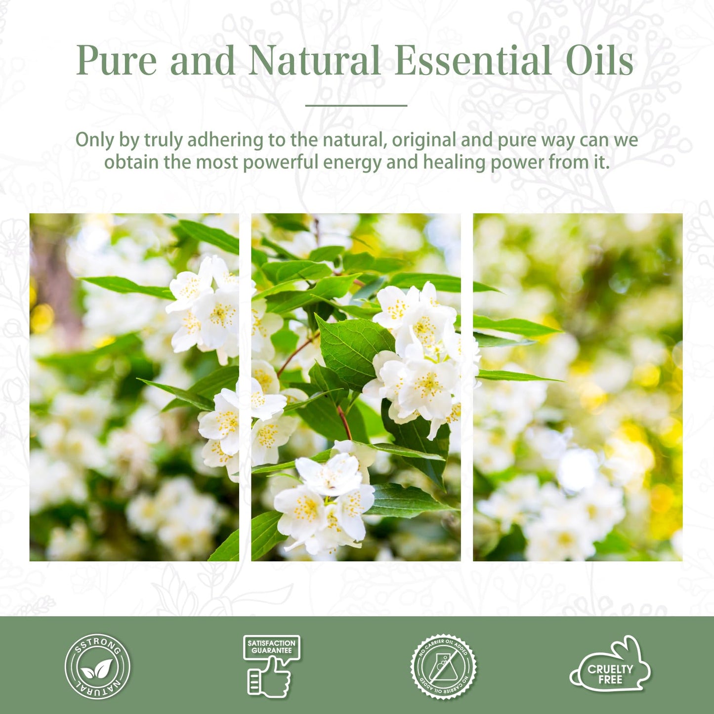 Jasmine Essential Oil 30ml | PHATOIL Long-Lasting Jasmine Oil for Aromatherapy, Diffusers, DIY Soap & Candles