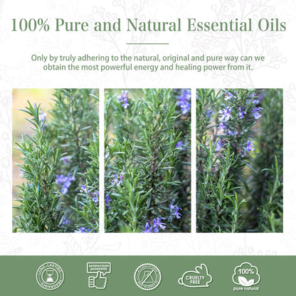 Rosemary Essential Oil 30ml | PHATOIL Premium Aromatherapy Oil for Diffusers, DIY Soap & Candles