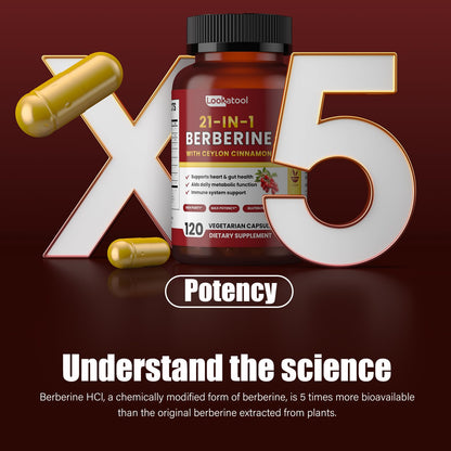 Lookatool 21-in-1 Berberine with Ceylon Cinnamon Phytosome | Metabolism Support 120 Capsules