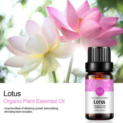 Lotus Essential Oil 100% Pure — Organic Flower Essential Oil for Diffuser & Skin Care | 10ml