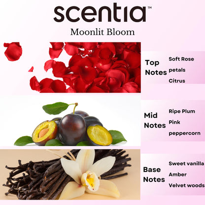Love Collection Fragrance Oil Set – 3×20ml for Diffusers, Candles & Soaps – USA Made