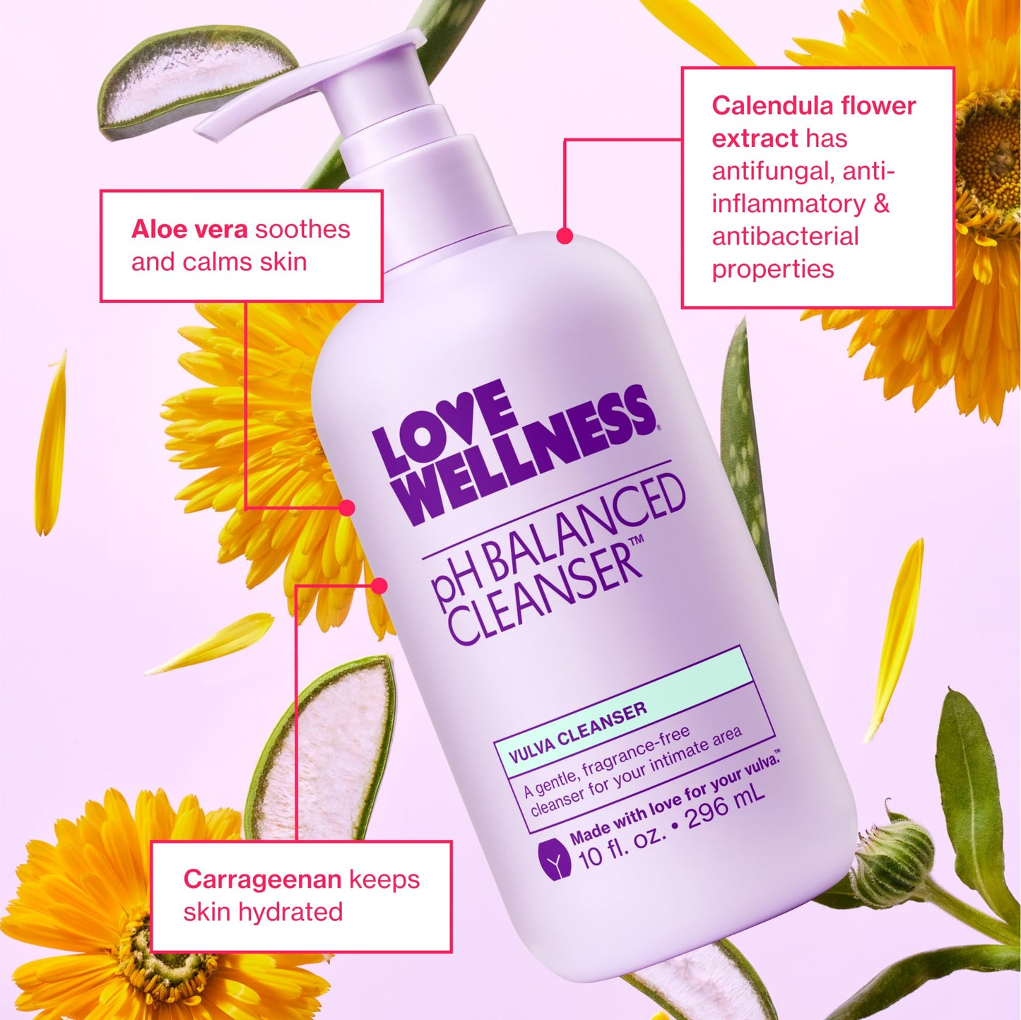 Love Wellness pH Balancing Cleanser | Fragrance-Free Feminine Wash for Sensitive Skin (10 oz)