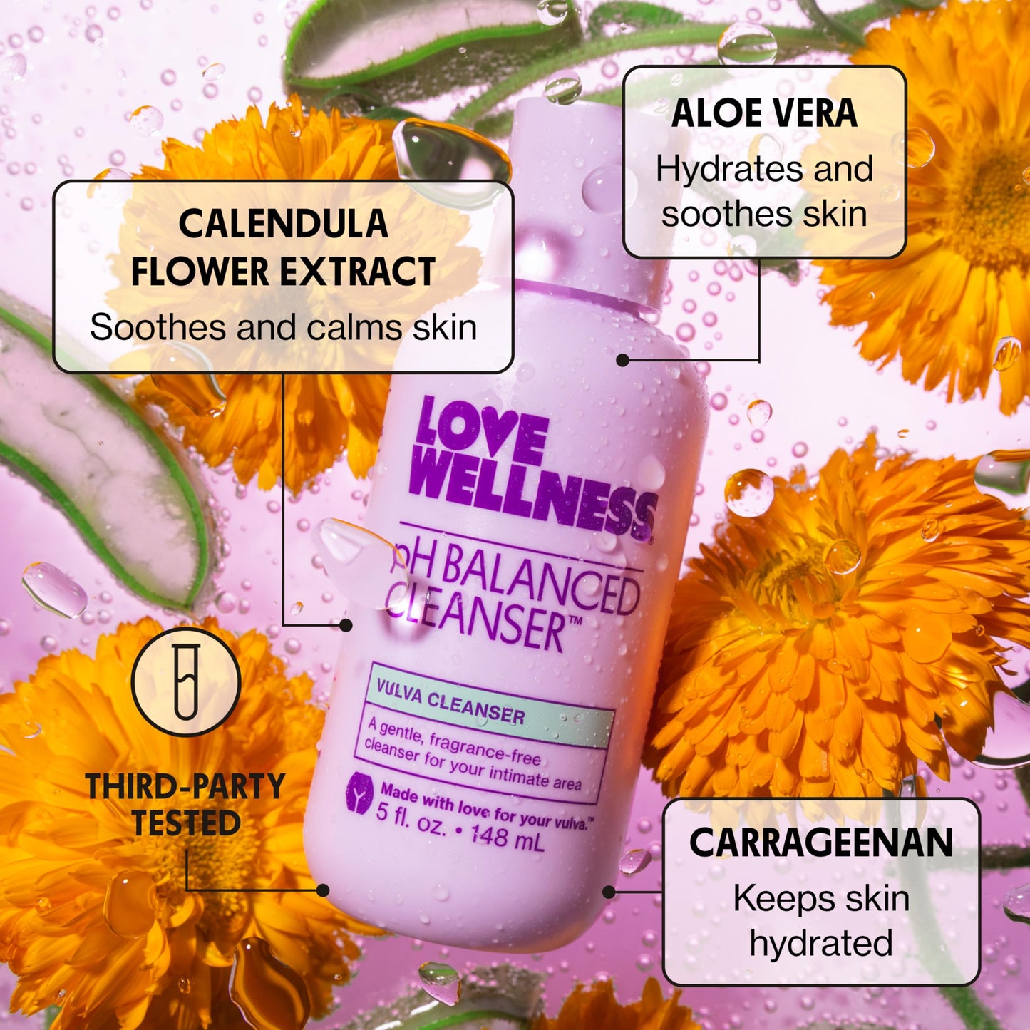 Love Wellness pH Balancing Cleanser | Fragrance-Free Vaginal Wash (5 fl oz)