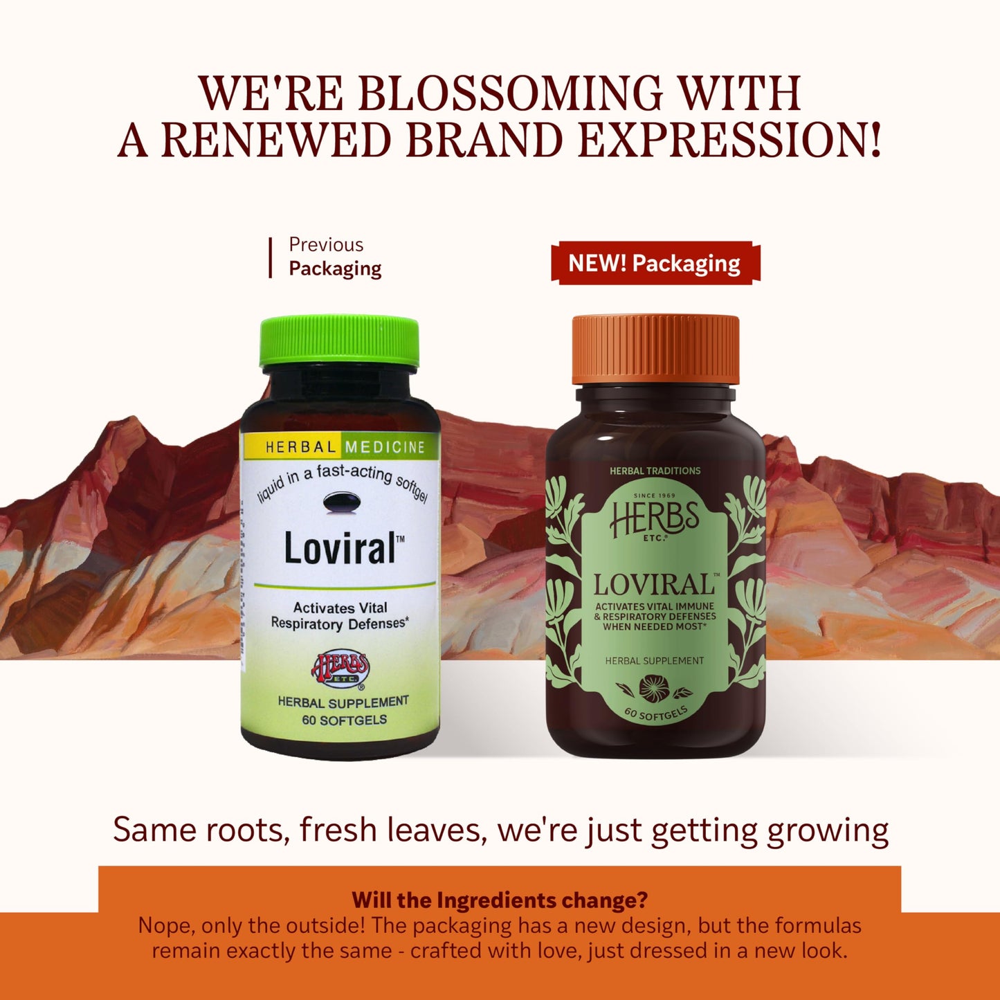 Loviral Lung Health Supplement | Herbs, Etc. – Respiratory Support (Gluten-Free)
