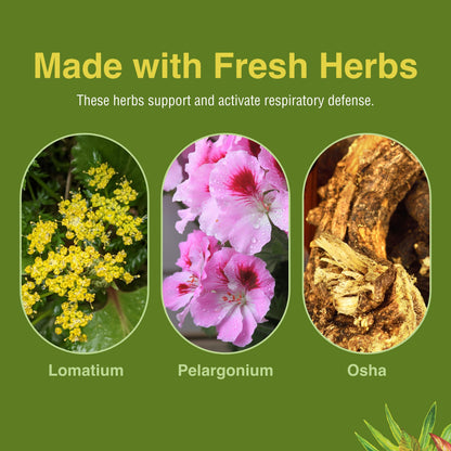 Loviral Lung Health Supplement | Herbs, Etc. – Respiratory Support (Gluten-Free)