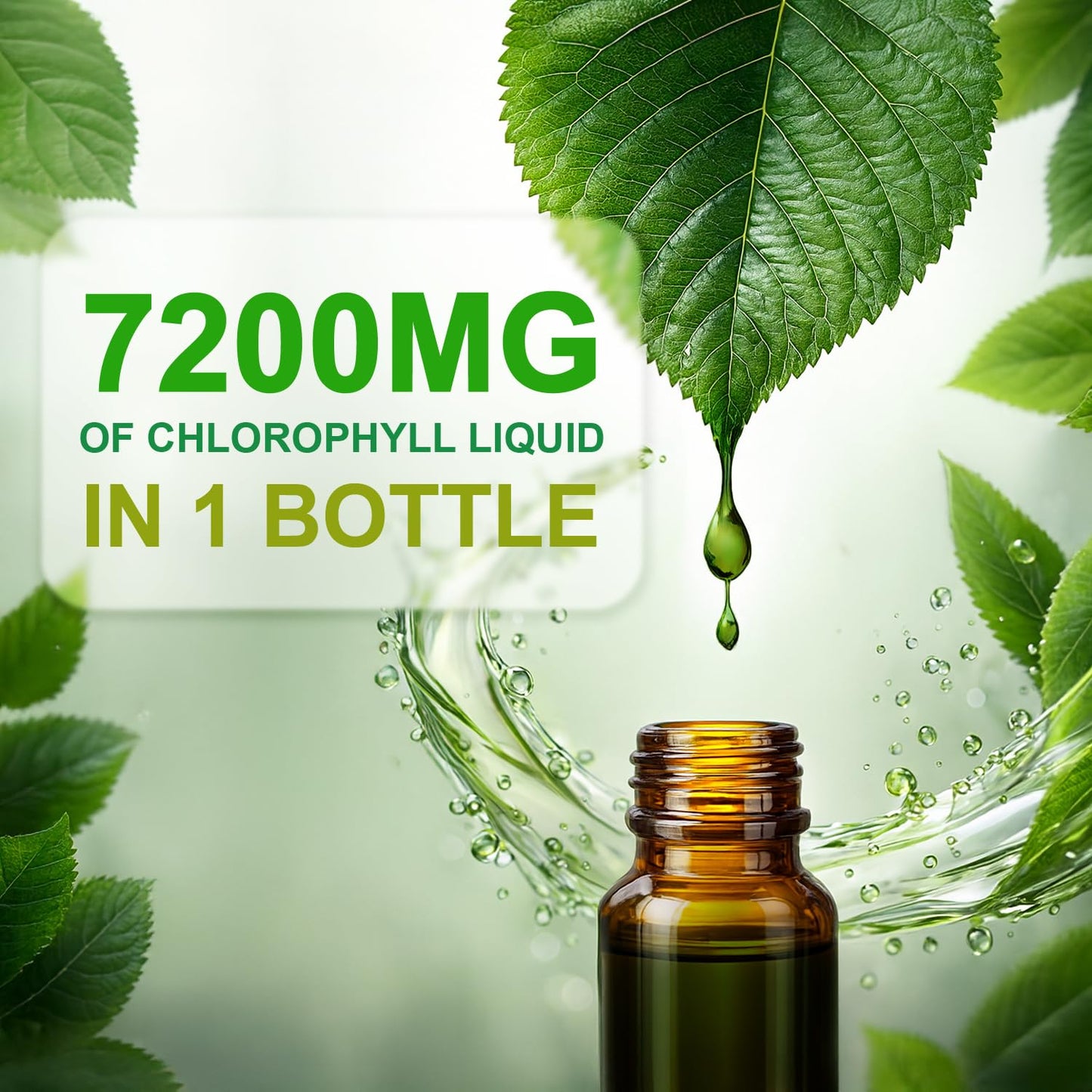 LOVITA Chlorophyll Liquid Drops – 120 mg/mL, Mint Flavor, 60 Servings