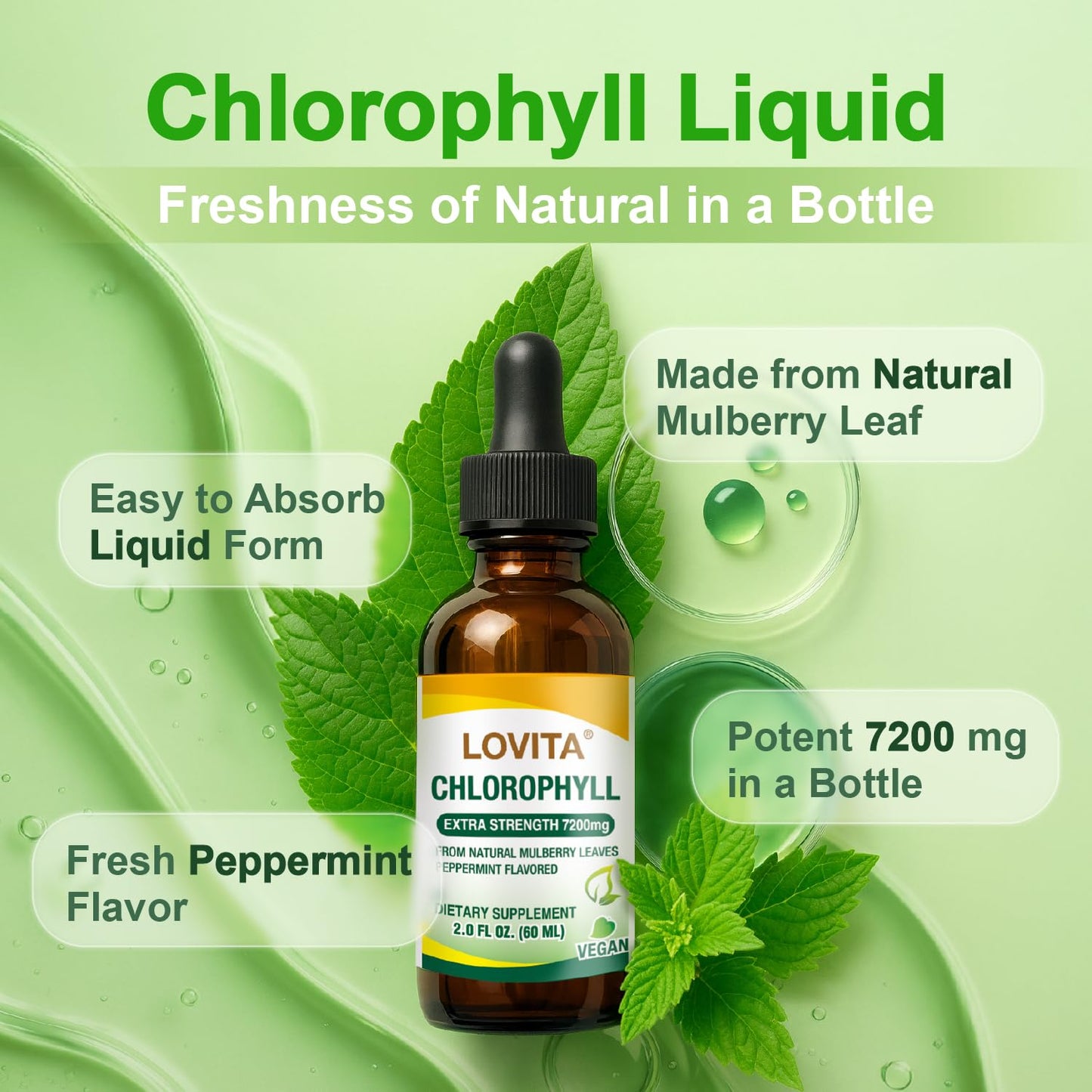 LOVITA Chlorophyll Liquid Drops – 120 mg/mL, Mint Flavor, 60 Servings