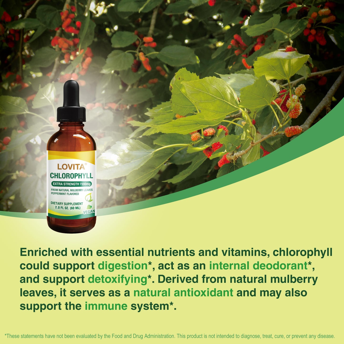 LOVITA Chlorophyll Liquid Drops – 120 mg/mL, Mint Flavor, 60 Servings